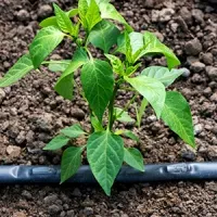 Tubería de riego con gotero plano