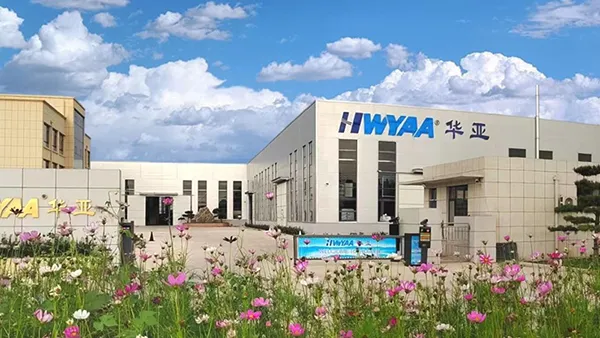 Acerca de HWYAA