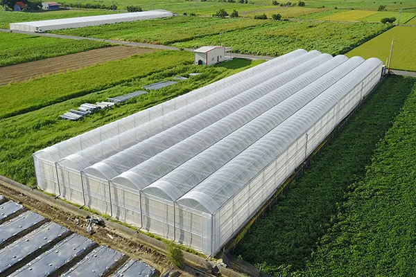 Máquina de película soplada agrícola