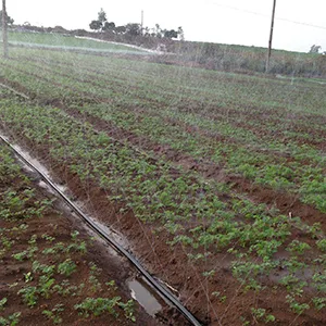 Aplicaciones del producto