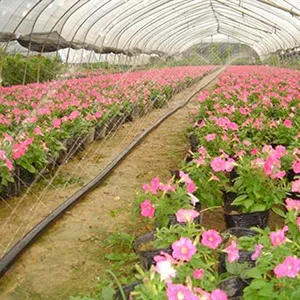 Aplicaciones del producto