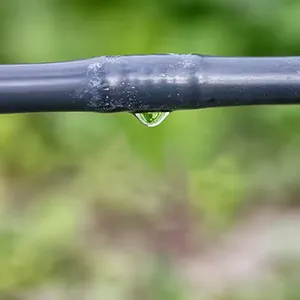 Aplicaciones del producto