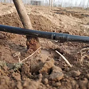 Aplicaciones del producto